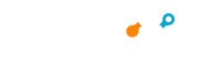 Netskope-Logo
