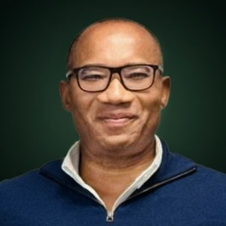 digit solutions CEO